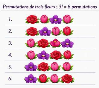 Six permutations de trois fleurs exub�rantes align�es avec s�parateurs