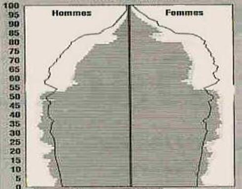 pyramise%20des%20�ges%20tronc